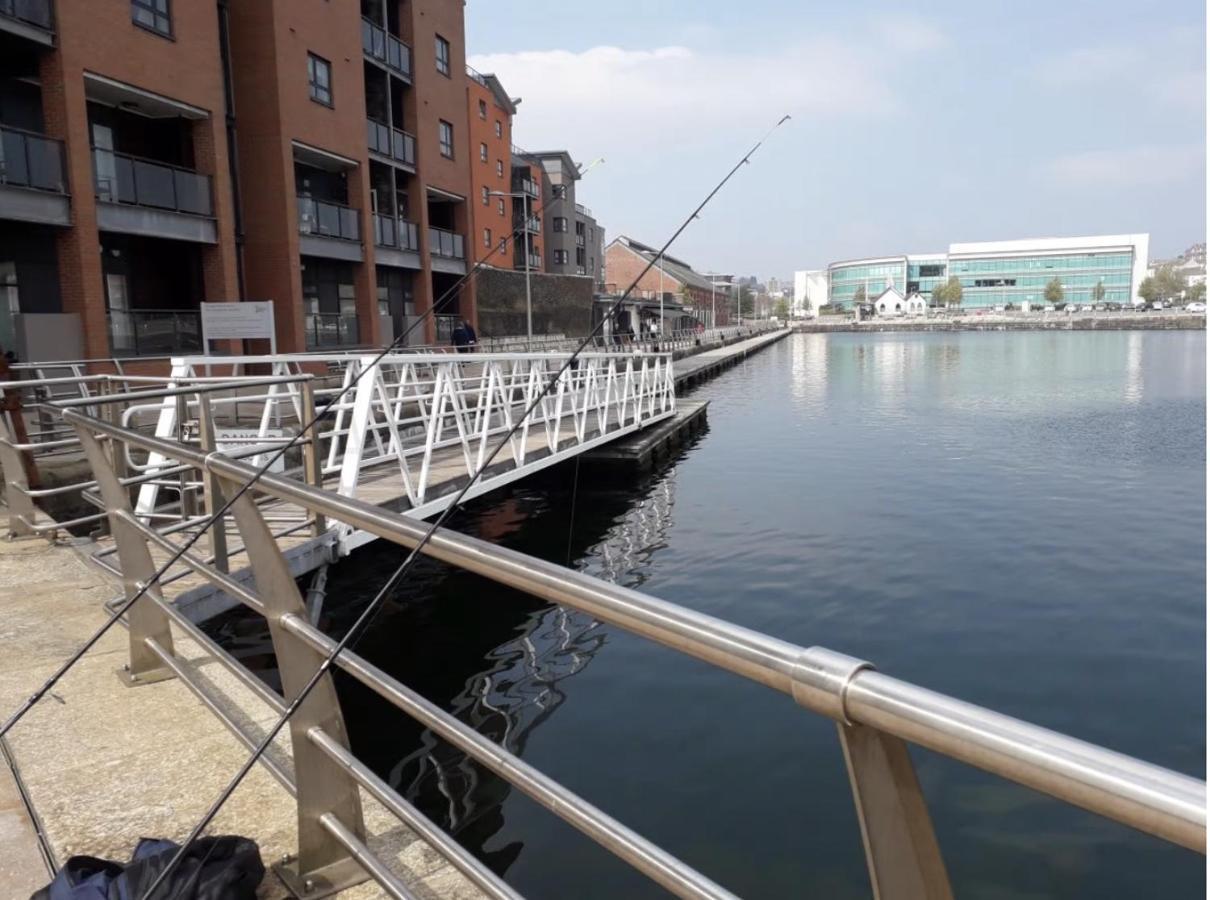 The Haven * Swansea